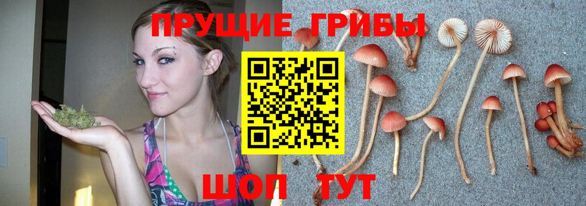 Лабинск  Галлюциногенные грибы мицелий  Вход с VPN  Псилоцибиновые грибы Magic Shrooms 