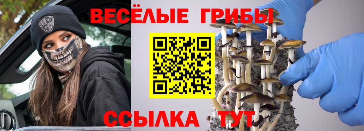 Галлюциногенные грибы MAGIC MUSHROOMS Лабинск
